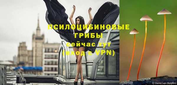 герыч Кущёвская