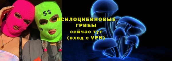 метамфетамин Ельня