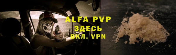 прущие грибы Заводоуковск