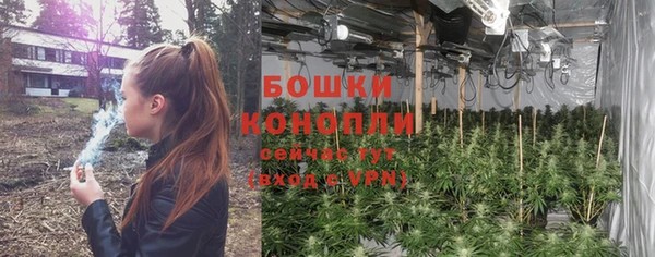 гидропоника Елабуга