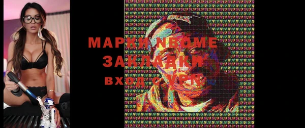 прущие грибы Заводоуковск
