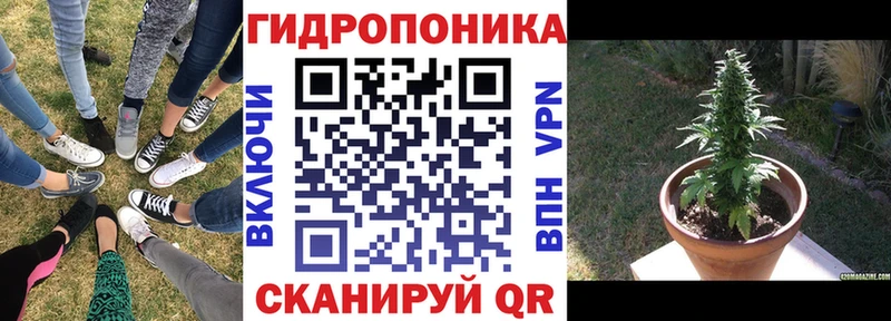 как найти закладки  Дагестанские Огни  Шишки марихуана Amnesia 